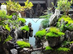 -青石桥花鸟鱼虫市场(叠翠城店)