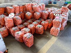 -江杨农产品批发市场