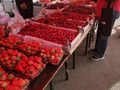 -三旗百汇商品城