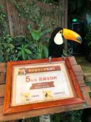-MIVI半永久纹眉纹绣