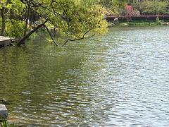 -紫霞湖公园