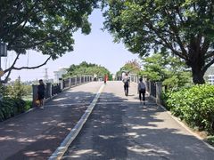 -顺峰山公园
