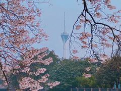 -红星桥(地铁站)