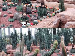 -南通洲际绿博园