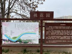 -桃花堤公园