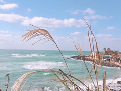 -Cafe Aewol Monsant