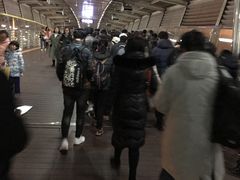 -望京西(地铁站)