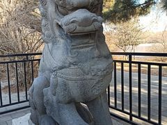 -北陵公园