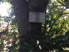-雨花胜境