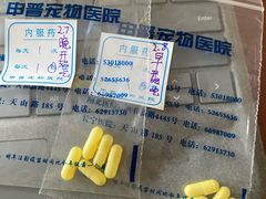 -申普宠物医院·心脏介入·心血管微创(总院)