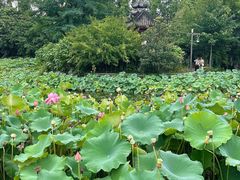 -成都市文化公园