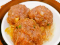 香菜山药牛肉丸-添运来(茶园奥园广场店)