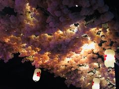 -TZ House音乐现场(茅台店)