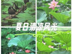 -长春市南湖公园