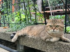 -谷咖啡·鲜花绿植花园餐厅