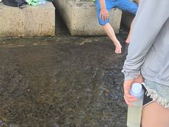 -北仑森林植物园