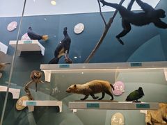 -国家自然博物馆