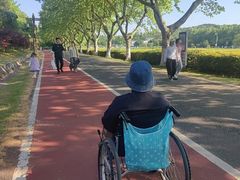 -宜兴龙背山森林公园
