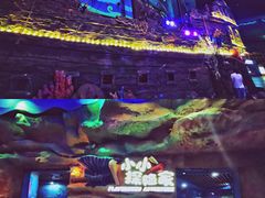 -青岛嘉年华主题乐园