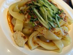 青海酿皮-沙力海西北特色美食烤肉店(北门坡店)