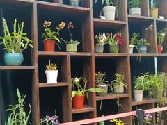 -国家植物园南园