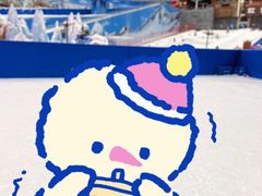 -长沙湘江冰雪世界