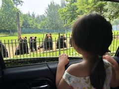 -秦皇岛野生动物园