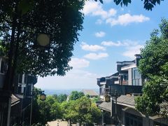 -铁山坪森林公园