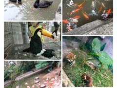 -东部华侨城