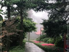 -庐山风景区花径公园