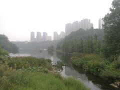 -重庆彩云湖湿地公园