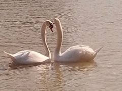 -艾溪湖湿地公园