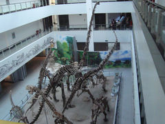 -中国地质大学逸夫博物馆