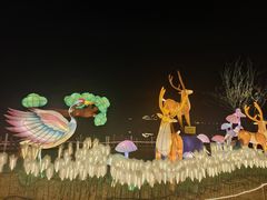 -荷兰花海
