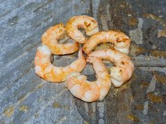 -尹珍珠·韩式无限烤肉(回龙湾店)