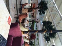 iphone_upload_pic-阳光五洲大酒店·宴会厅