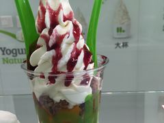 -Salud撒露欧洲冻酸奶(北苑上品店)