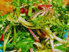 苦苣-宝大叔串店(十区店)