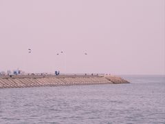 -东堤公园