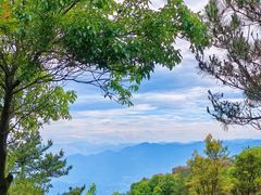 -玉苍山国家森林公园