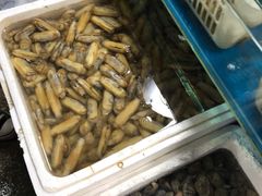 -四道口水产市场