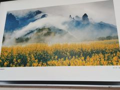 -桃源人家(东门店)