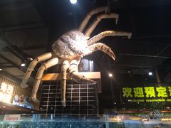 -旺豪阳光超市(友谊阳光城店)