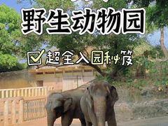 -深圳野生动物园