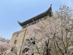 -武汉大学-樱园