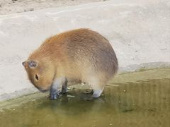 -无锡动物园·太湖欢乐园