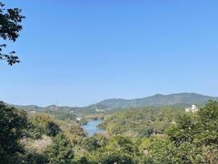 -天鹿湖森林公园