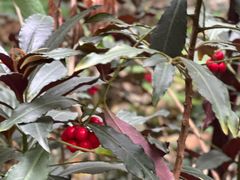 -东钱湖旅游度假区