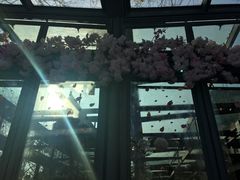 -星巴克(西湖天地店)
