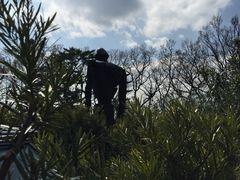 -三鹰之森吉卜力美术馆